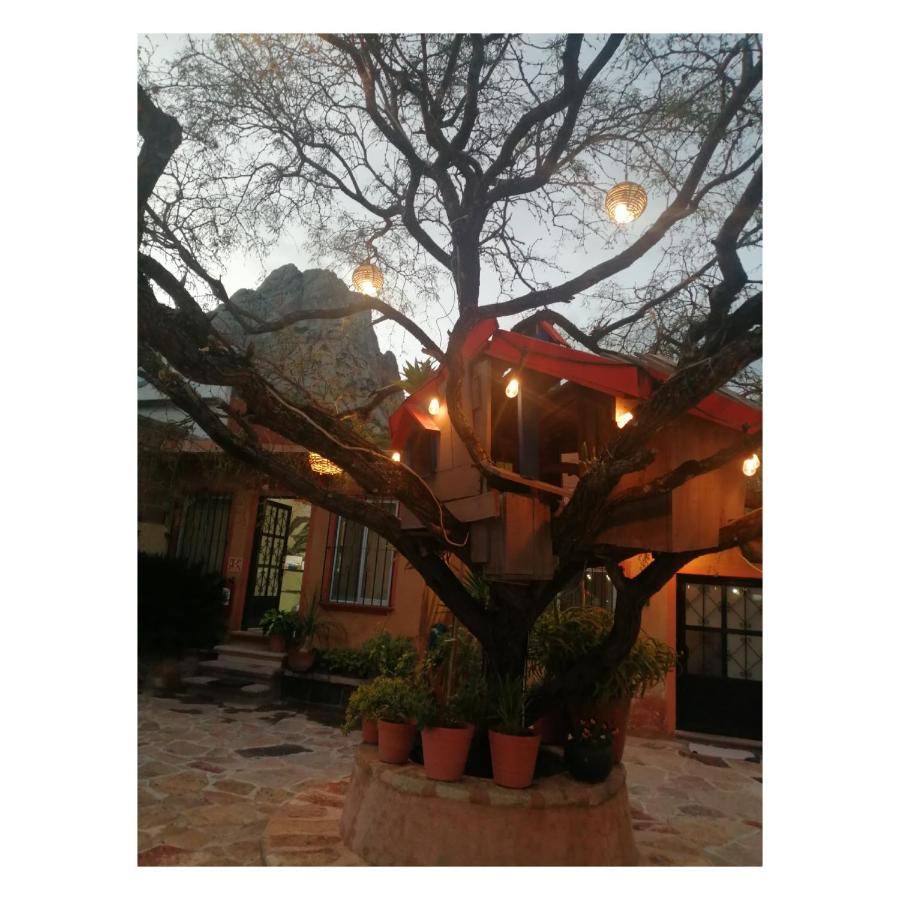 Hotel Casa Del Arbol Bernal Luaran gambar
