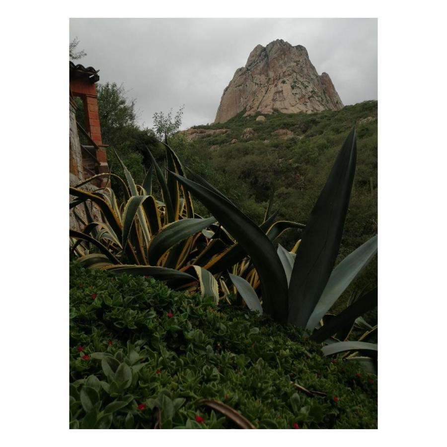 Hotel Casa Del Arbol Bernal Luaran gambar