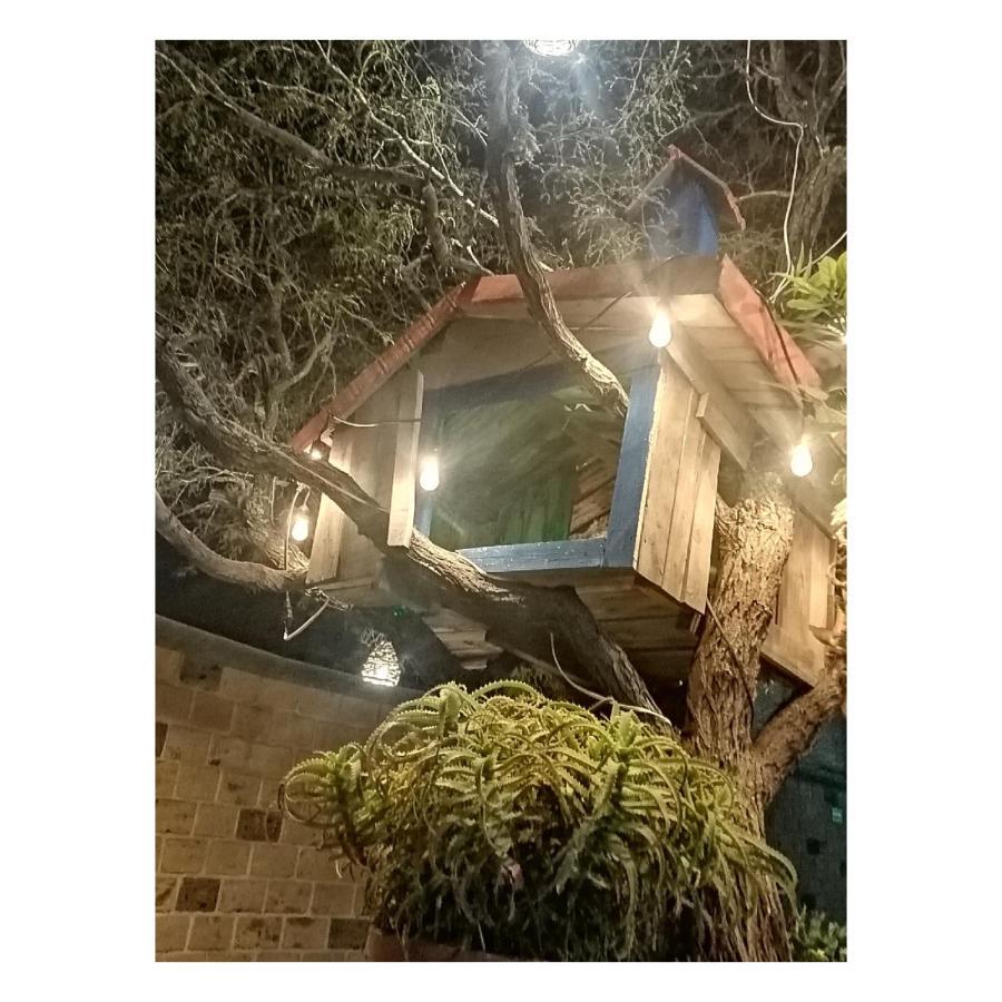 Hotel Casa Del Arbol Bernal Luaran gambar